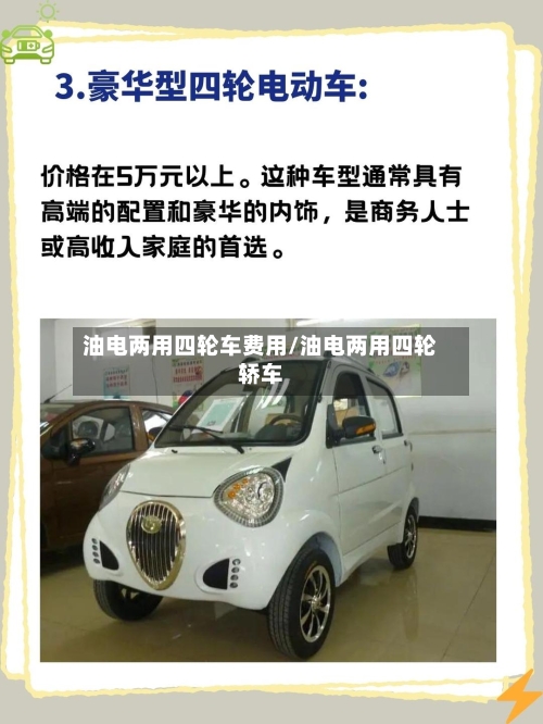 油电两用四轮车费用/油电两用四轮轿车-第2张图片