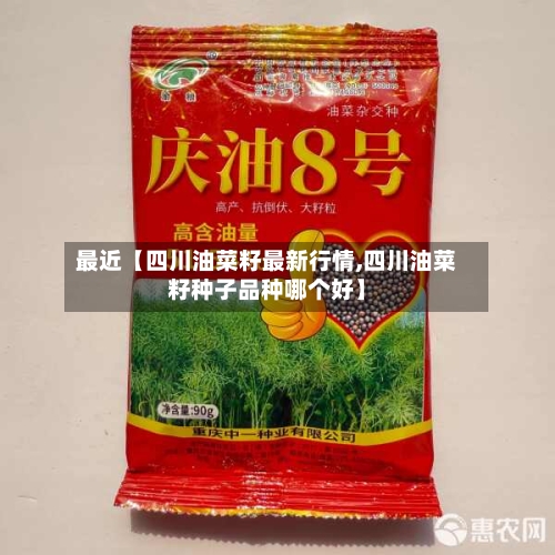 最近【四川油菜籽最新行情,四川油菜籽种子品种哪个好】