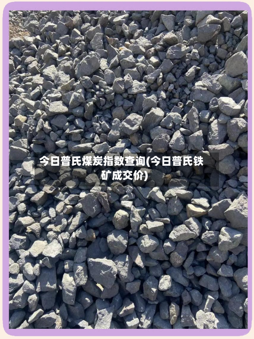今日普氏煤炭指数查询(今日普氏铁矿成交价)-第2张图片