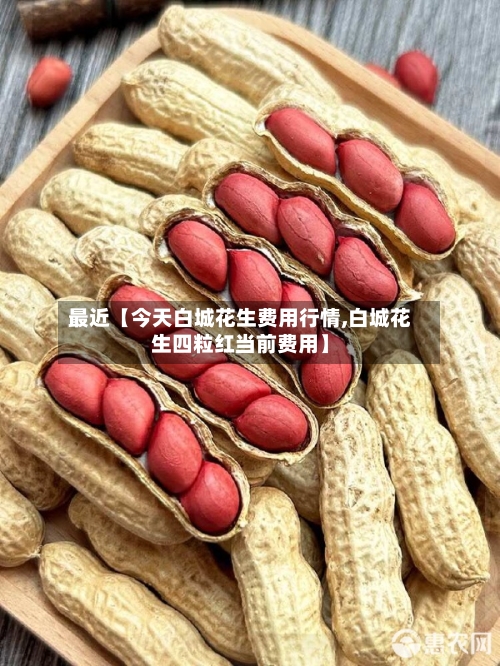 最近【今天白城花生费用行情,白城花生四粒红当前费用】