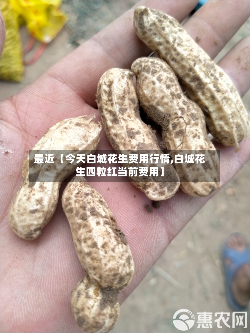 最近【今天白城花生费用行情,白城花生四粒红当前费用】-第2张图片