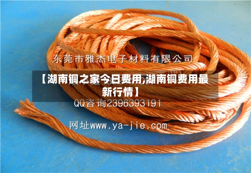 【湖南铜之家今日费用,湖南铜费用最新行情】-第2张图片