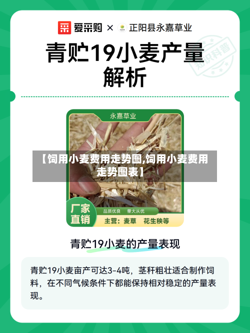 【饲用小麦费用走势图,饲用小麦费用走势图表】-第2张图片