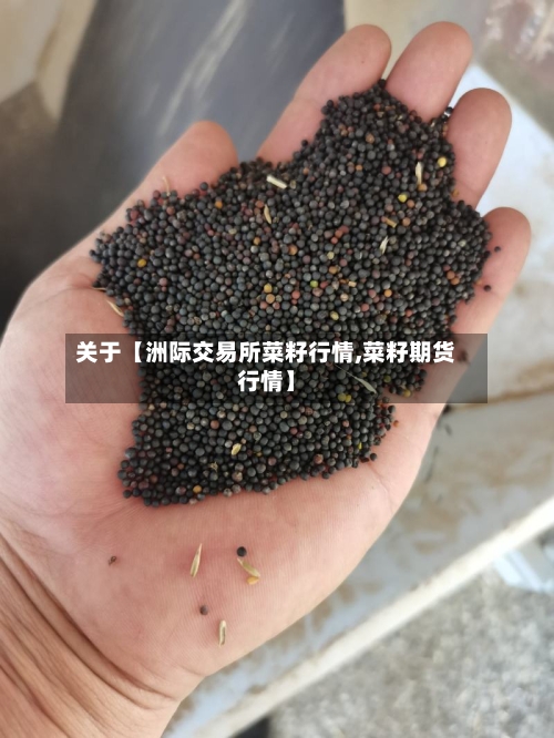 关于【洲际交易所菜籽行情,菜籽期货行情】