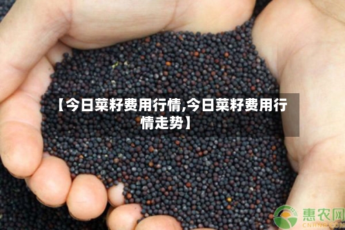 【今日菜籽费用行情,今日菜籽费用行情走势】