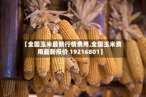 【全国玉米最新行情费用,全国玉米费用最新报价 19216801】-第2张图片