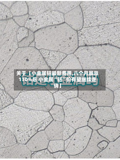 关于【小金属钴最新费用,八个月暴涨110%后 小金属“钴”价有望继续走俏】-第2张图片