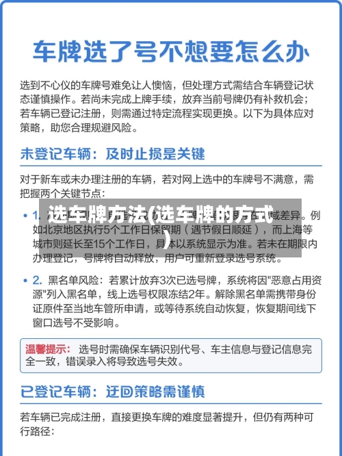 选车牌方法(选车牌的方式)-第3张图片