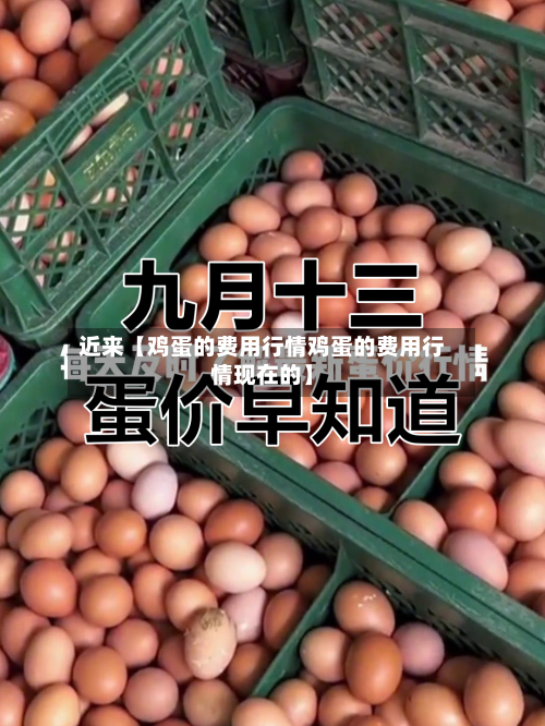 近来【鸡蛋的费用行情鸡蛋的费用行情现在的】-第2张图片