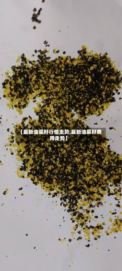 【最新油菜籽行情走势,最新油菜籽费用走势】-第2张图片