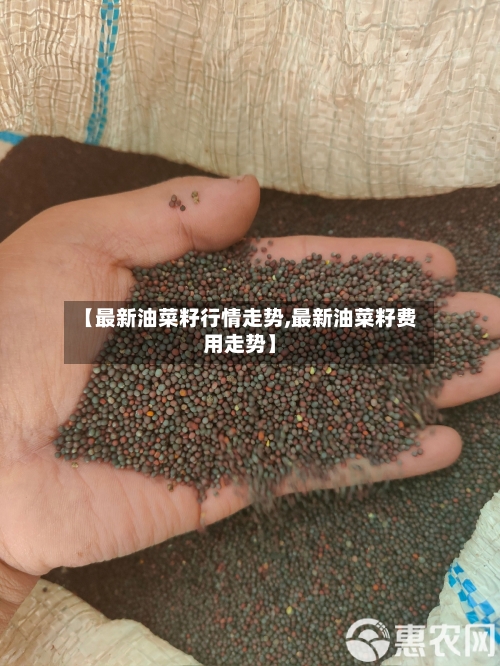 【最新油菜籽行情走势,最新油菜籽费用走势】