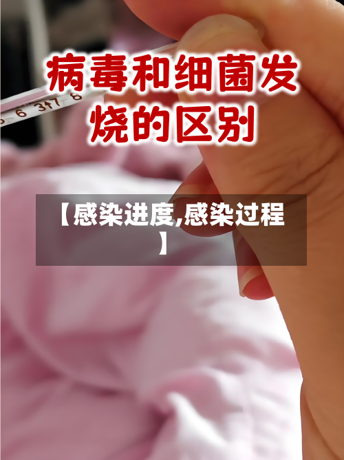 【感染进度,感染过程】