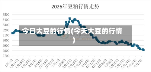 今日大豆的行情(今天大豆的行情)-第2张图片