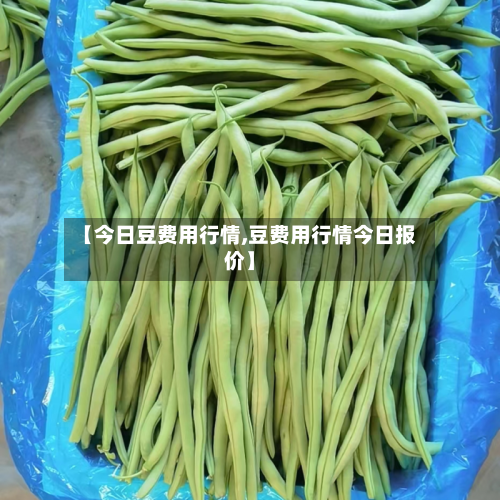 【今日豆费用行情,豆费用行情今日报价】-第3张图片