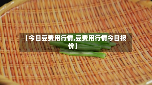 【今日豆费用行情,豆费用行情今日报价】