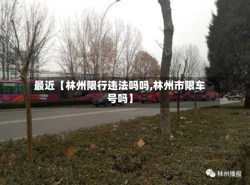 最近【林州限行违法吗吗,林州市限车号吗】-第2张图片