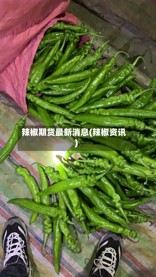 辣椒期货最新消息(辣椒资讯)-第3张图片