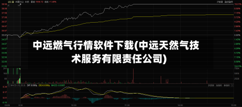 中远燃气行情软件下载(中远天然气技术服务有限责任公司)