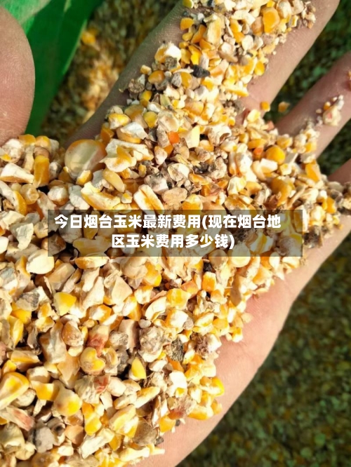 今日烟台玉米最新费用(现在烟台地区玉米费用多少钱)-第3张图片