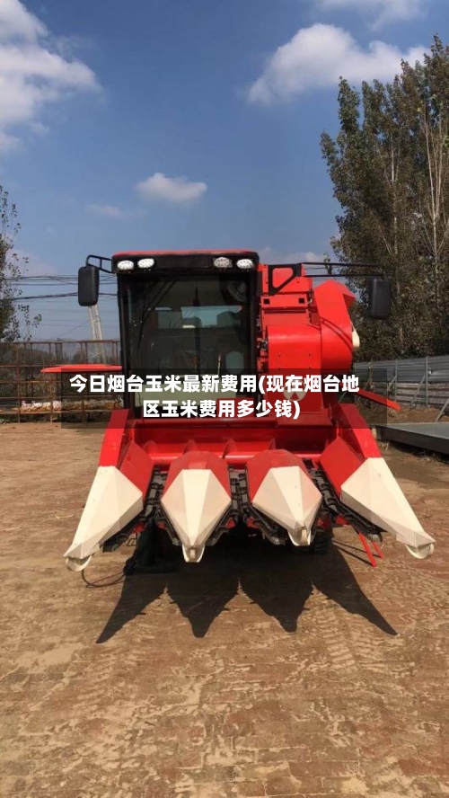 今日烟台玉米最新费用(现在烟台地区玉米费用多少钱)-第2张图片