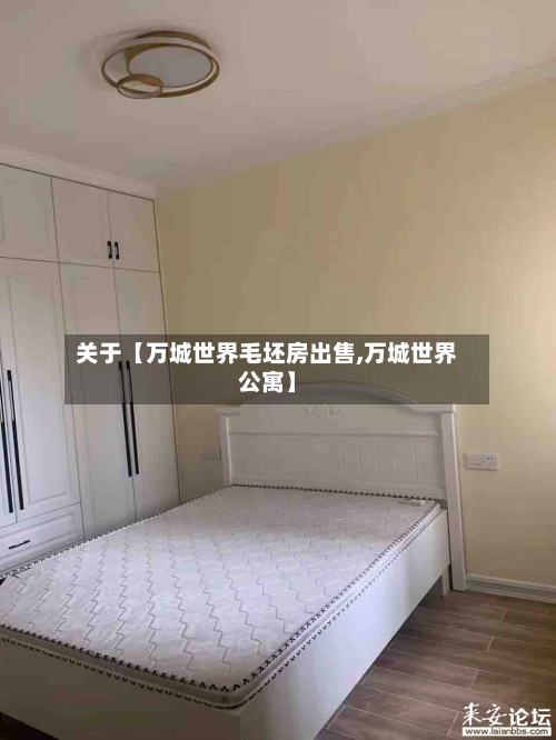 关于【万城世界毛坯房出售,万城世界公寓】-第3张图片