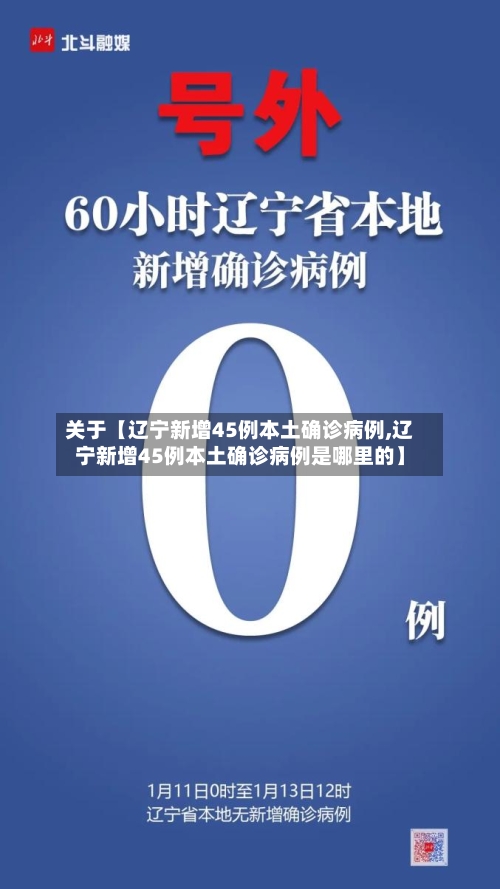 关于【辽宁新增45例本土确诊病例,辽宁新增45例本土确诊病例是哪里的】-第2张图片