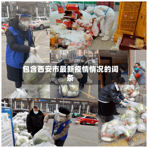 包含西安市最新疫情情况的词条-第2张图片