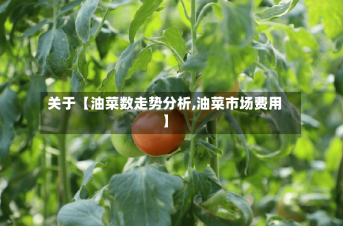 关于【油菜数走势分析,油菜市场费用】