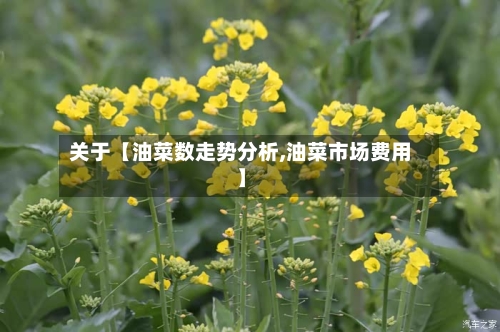 关于【油菜数走势分析,油菜市场费用】-第2张图片
