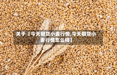 关于【今天期货小麦行情,今天期货小麦行情怎么样】-第2张图片
