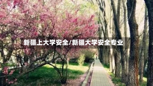 新疆上大学安全/新疆大学安全专业