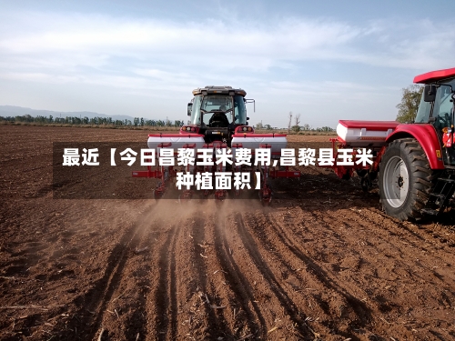 最近【今日昌黎玉米费用,昌黎县玉米种植面积】-第3张图片