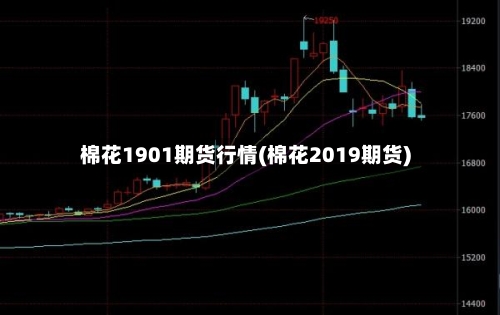 棉花1901期货行情(棉花2019期货)
