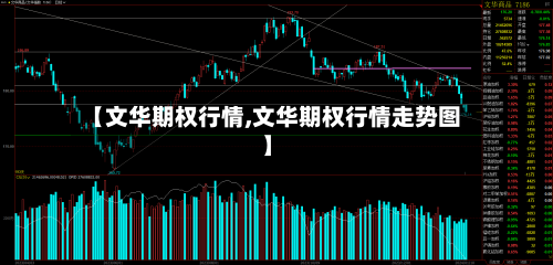 【文华期权行情,文华期权行情走势图】