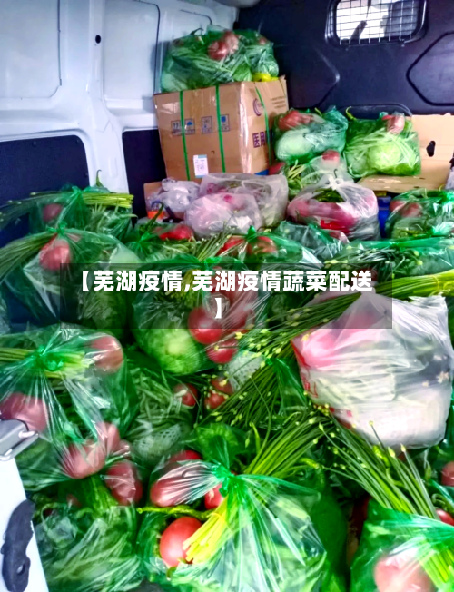 【芜湖疫情,芜湖疫情蔬菜配送】-第2张图片