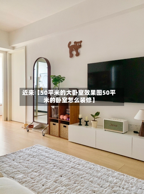 近来【50平米的大卧室效果图50平米的卧室怎么装修】-第3张图片