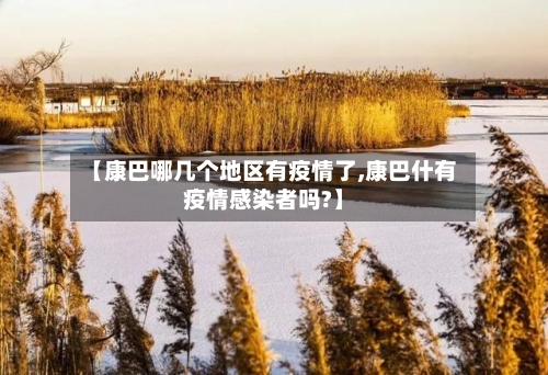 【康巴哪几个地区有疫情了,康巴什有疫情感染者吗?】