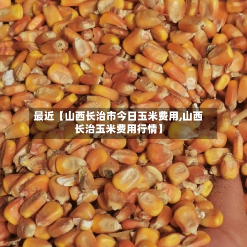 最近【山西长治市今日玉米费用,山西长治玉米费用行情】
