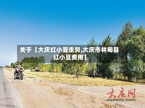 关于【大庆红小豆走势,大庆市林甸县红小豆费用】