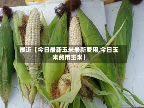 最近【今日最新玉米最新费用,今日玉米费用玉米】
