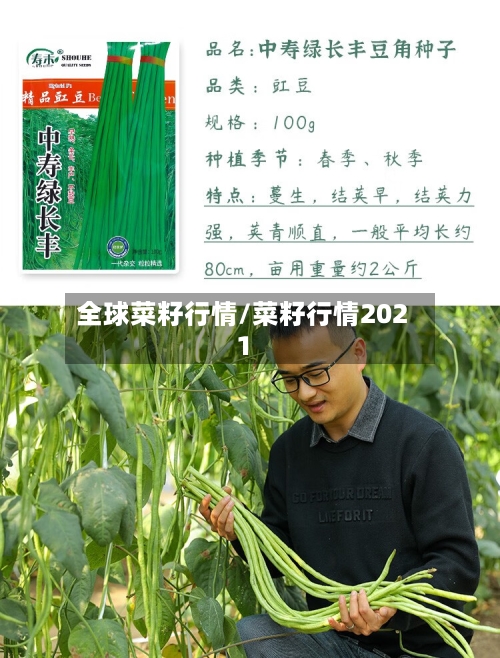 全球菜籽行情/菜籽行情2021