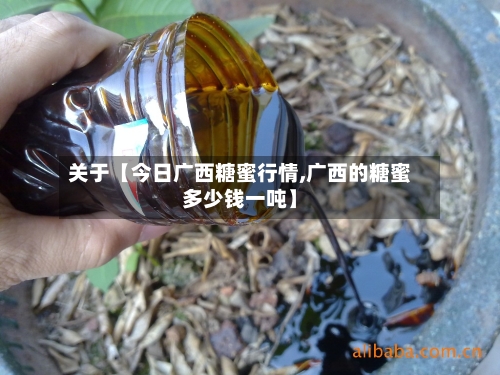 关于【今日广西糖蜜行情,广西的糖蜜多少钱一吨】-第2张图片