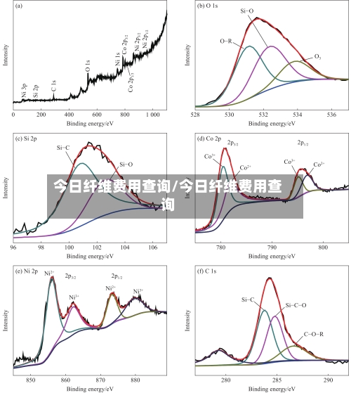 今日纤维费用查询/今日纤维费用查询-第2张图片