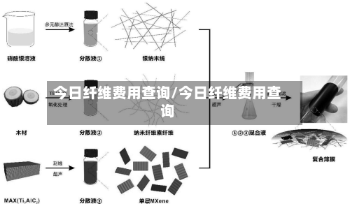 今日纤维费用查询/今日纤维费用查询
