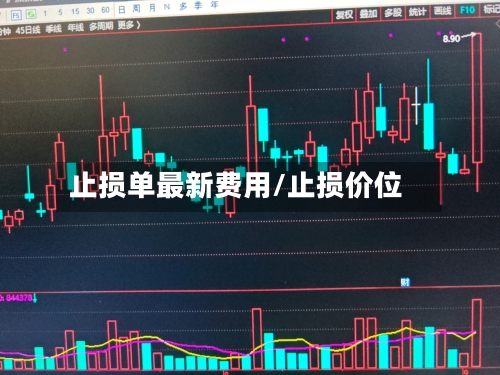 止损单最新费用/止损价位