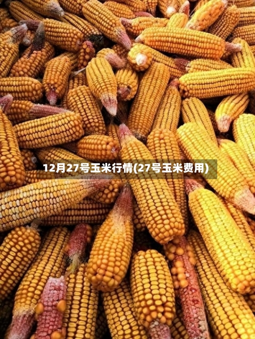 12月27号玉米行情(27号玉米费用)-第2张图片
