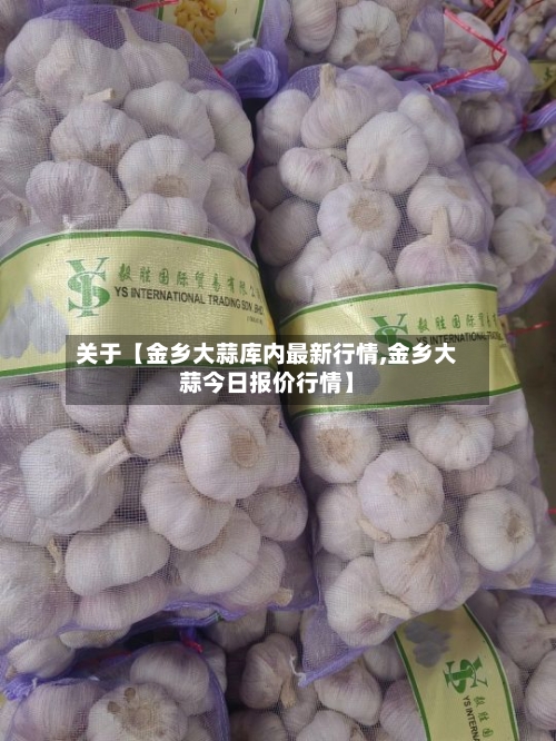 关于【金乡大蒜库内最新行情,金乡大蒜今日报价行情】