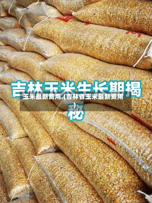 玉米最新费用.(吉林省玉米最新费用)
