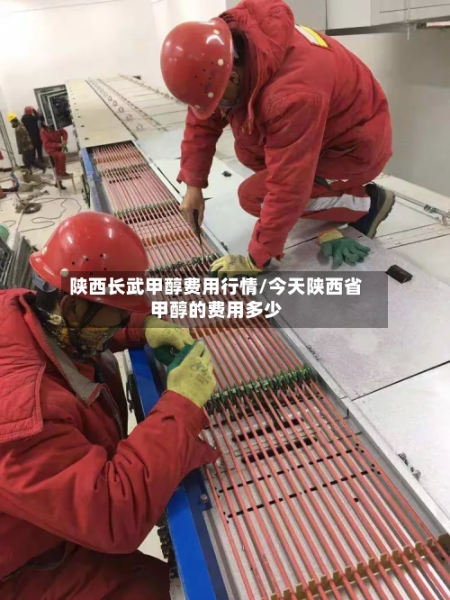 陕西长武甲醇费用行情/今天陕西省甲醇的费用多少