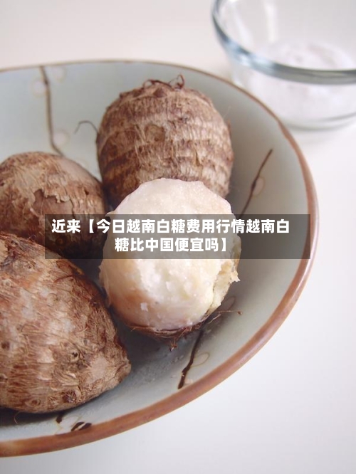 近来【今日越南白糖费用行情越南白糖比中国便宜吗】-第3张图片